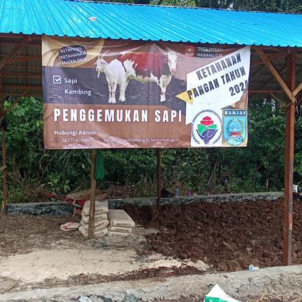 Gaya Baru Meningkatkan Produksi: Strategi Inovatif untuk Sukses dalam Penggemukan Sapi dan Penguatan
